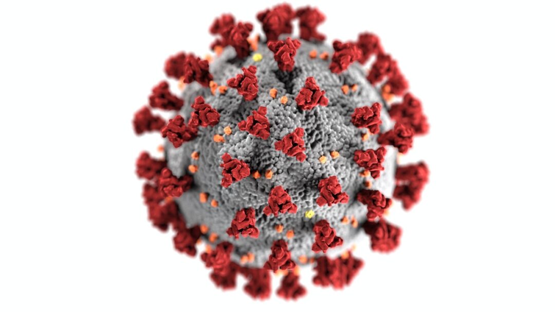 Científica mexicana descubre vulnerabilidad del coronavirus
