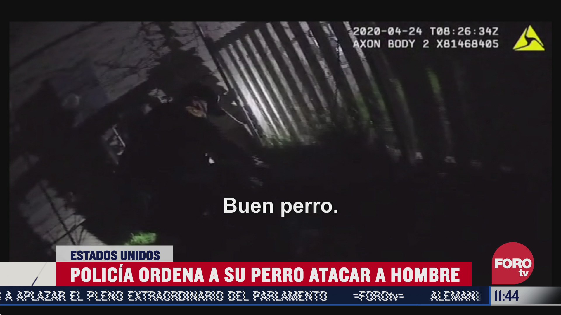 policia ordena a su perro atacar a un hombre en eeuu