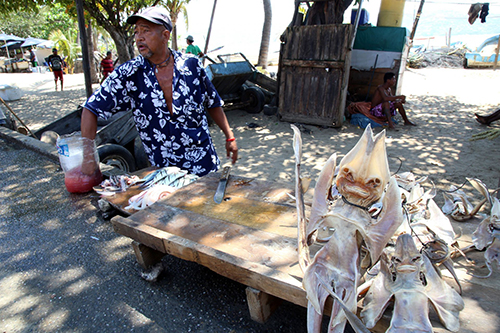 La presencia del pez diablo en México está poniendo en jaque a los pescadores porque ya es una plaga