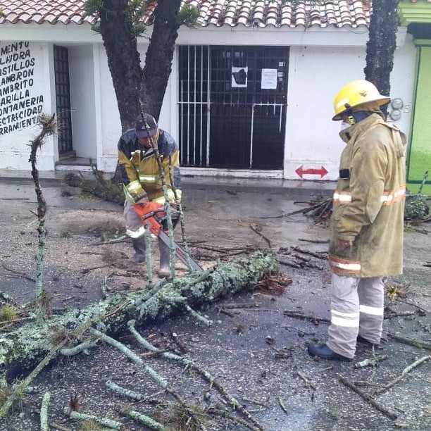 Lluvias y vientos causan severas afectaciones en Xalapa, Veracruz y Comitán, Chiapas