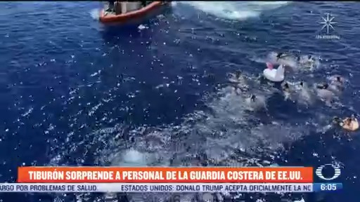 tiburon sorprende a personal de la guardia costera de estados unidos