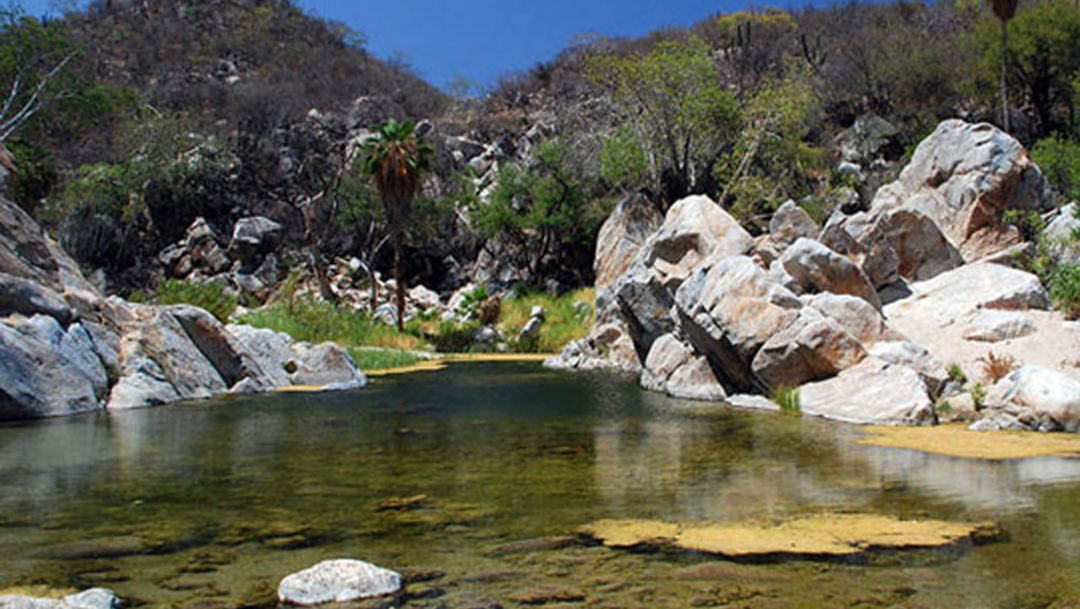 El IPN celebró que con esta investigación se coloca como pionero en la datación isotópica del agua subterránea en el acuífero del Valle de Puebla .