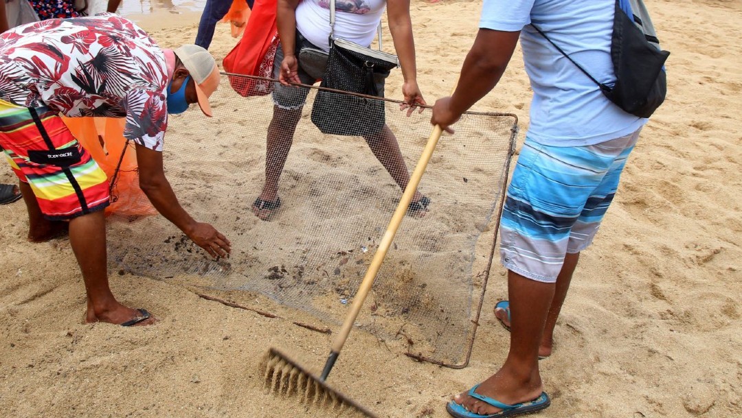 Recolectan 50 toneladas de basura en playas de Sonora