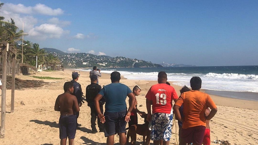 Cocodrilo causa alarma en playa de Pie de la Cuesta, en Acapulco