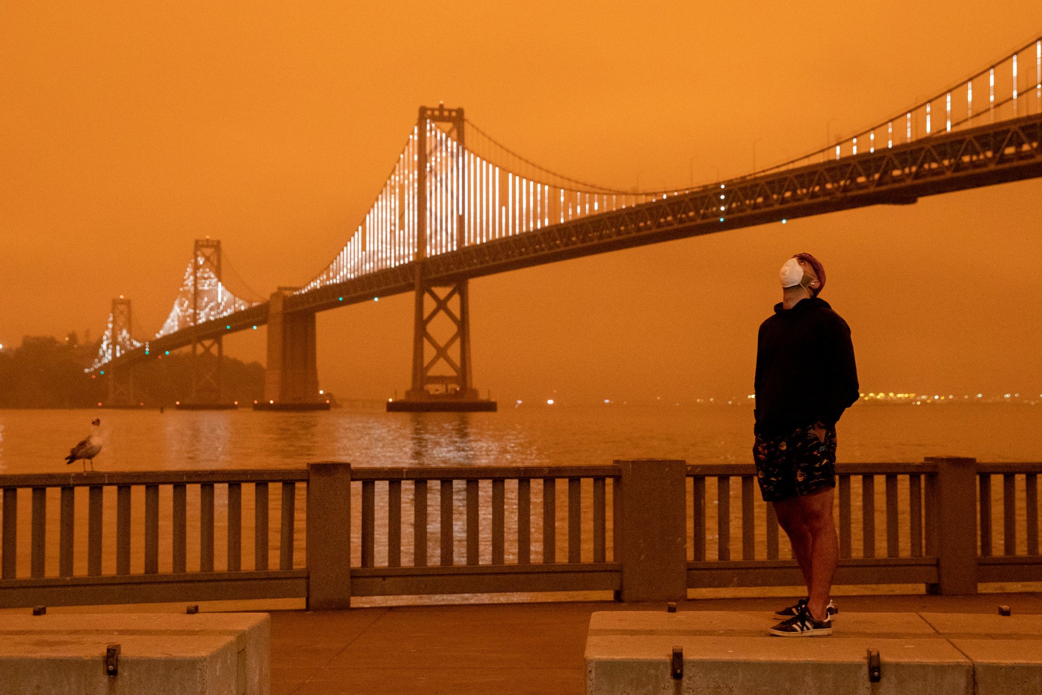 Fotos: El cielo naranja de California por los incendios