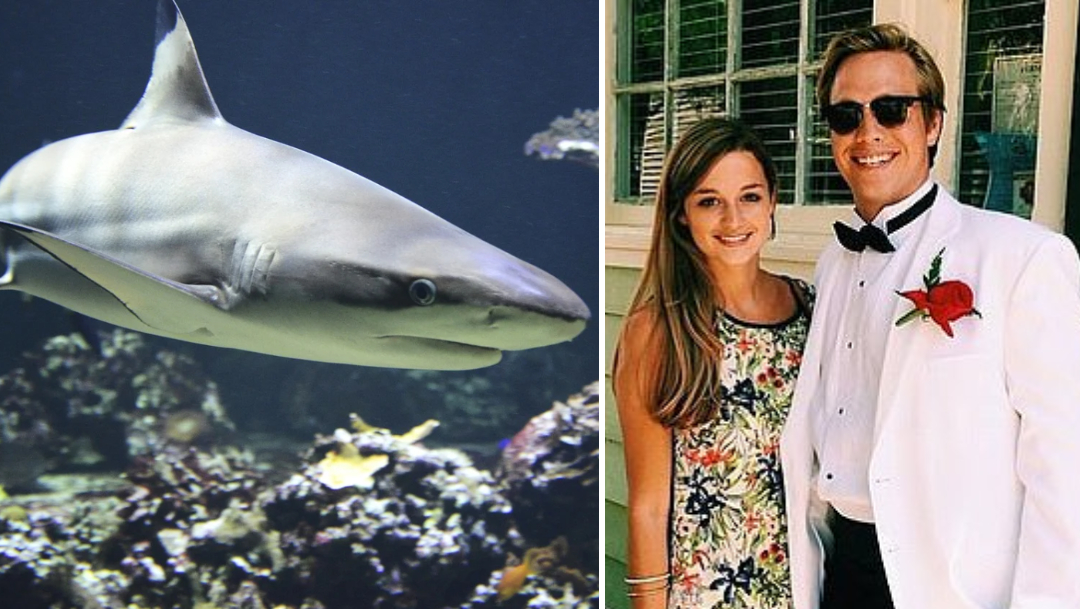 Mujer embarazada salva a su esposo del ataque de un tiburón