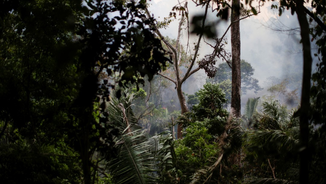Incendios amenazan gigantesco humedal de Brasil con la mayor reserva de jaguares