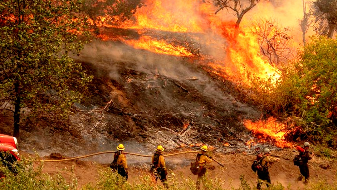 California arde como nunca en 33 años: Incendios queman récord de más de 800 mil hectáreas