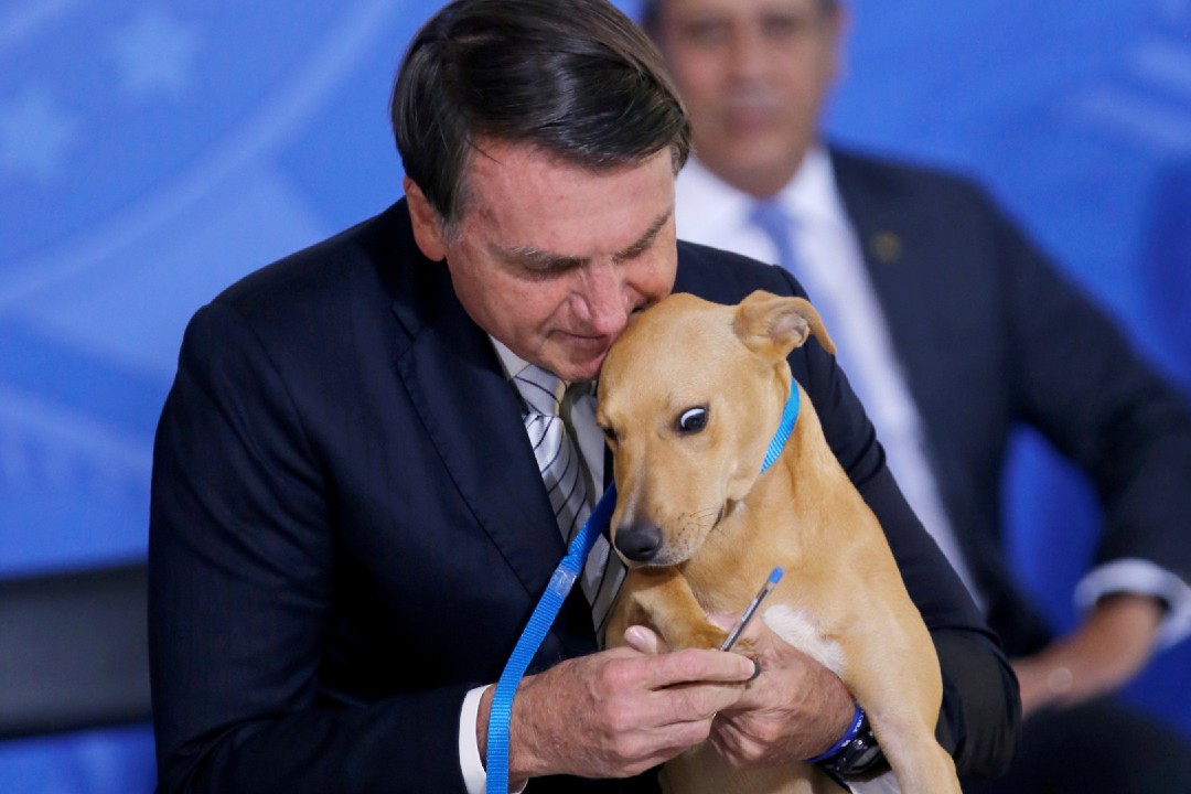 Bolsonaro-aprueba-ley-que-endurece-penas-por-maltrato-animal