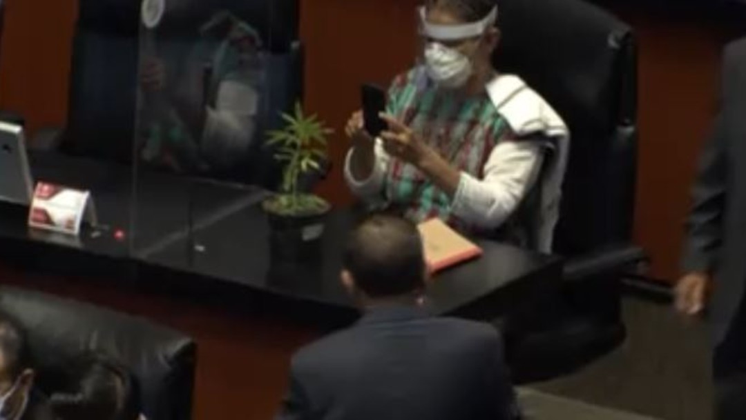 Jesusa Rodríguez lleva planta de marihuana al senado
