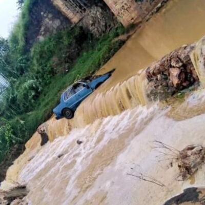 Intensa lluvia en Oaxaca provoca caída de árbol en Zócalo y vehículos arrastrados