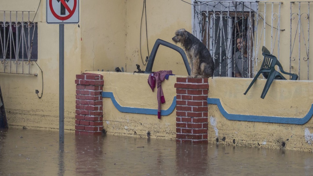 Lluvias en Tijuana, Baja California