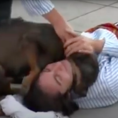 Video: Perro callejero interrumpe obra de teatro para ’ayudar’ a joven que actuaba de herido