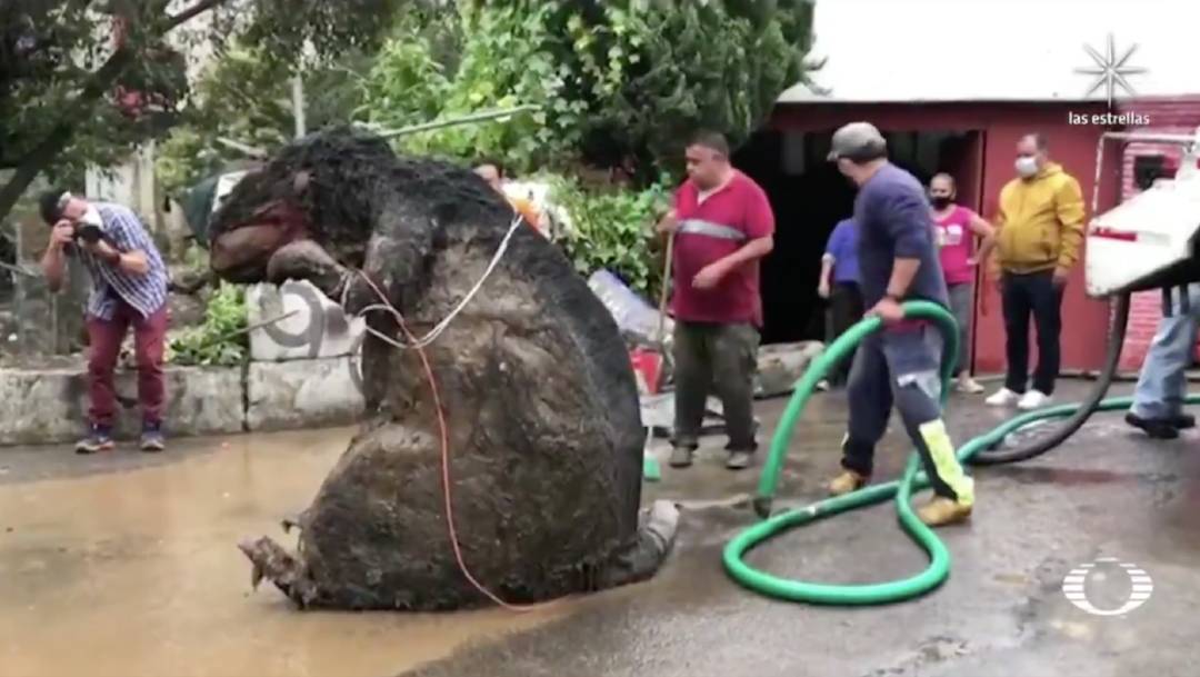 La botarga de rata gigante formaba parte de un tapón de basura que obstruía el Río Magdalena