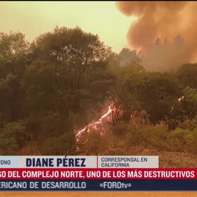 Surgen más  incendios forestales en California