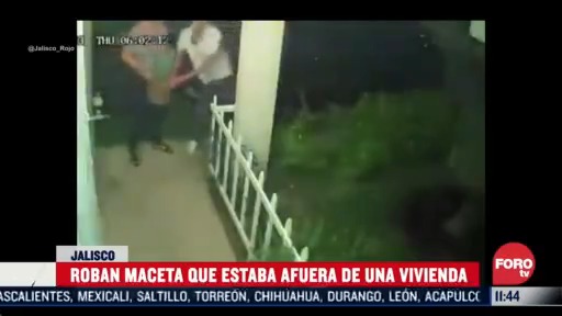 video capta a pareja robando una maceta en guadalajara jalisco