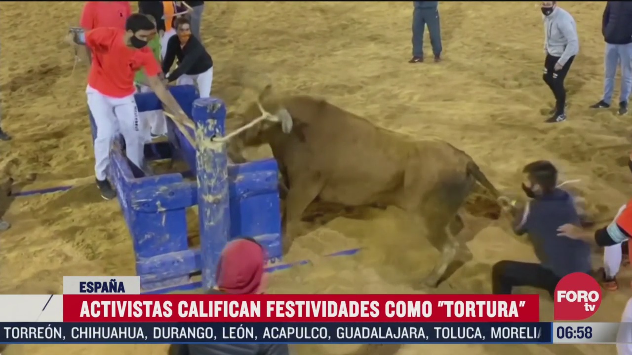 activistas califican como tortura festividades del toro en espana