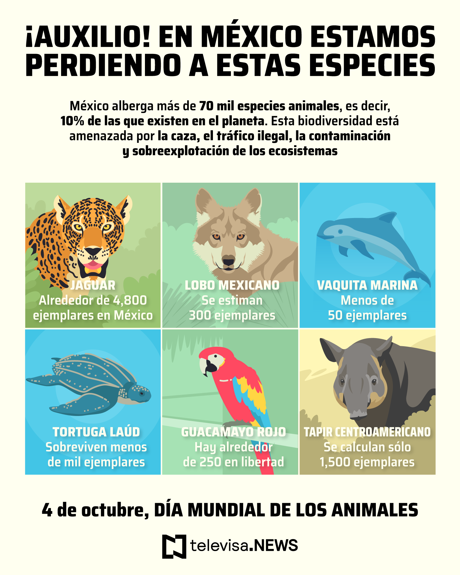 Animales mexicanos en peligro de extinción, infografía