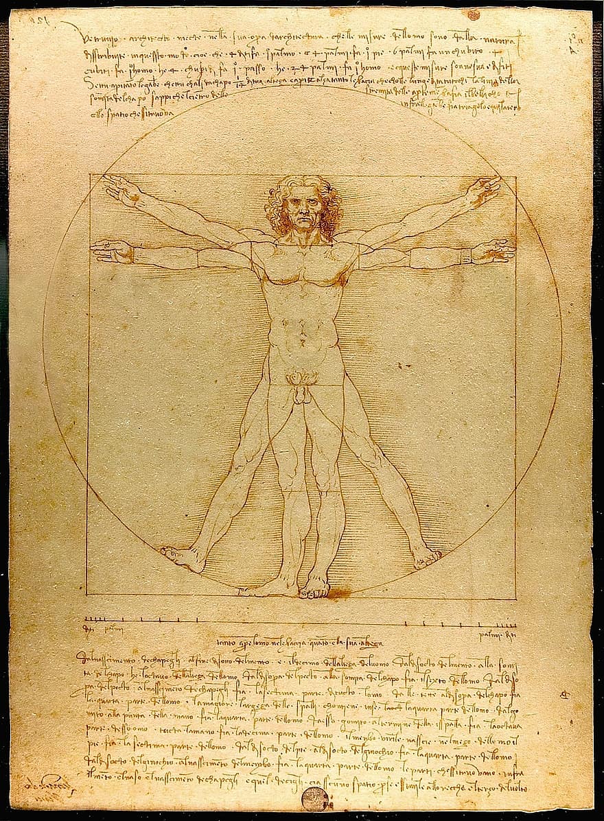 Hombre de Vitruvio por Leonardo Da Vinci