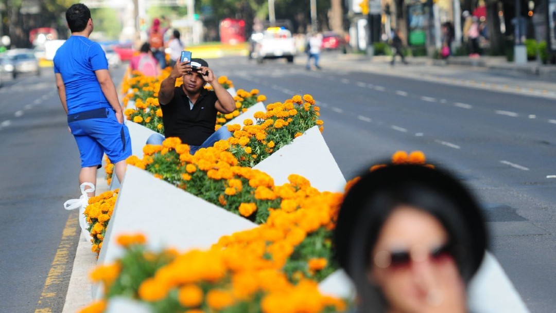Miles de flores de cempasúchil adornarán los camellones de la Ciudad de México