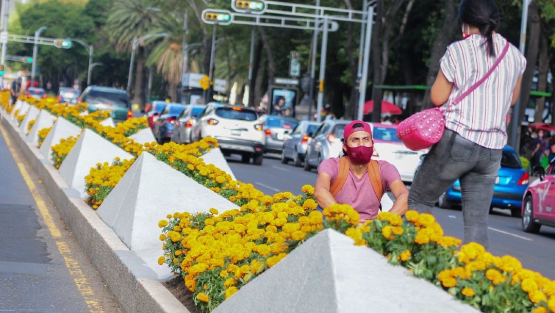 Flores de cempasúchil adornan la Ciudad de México