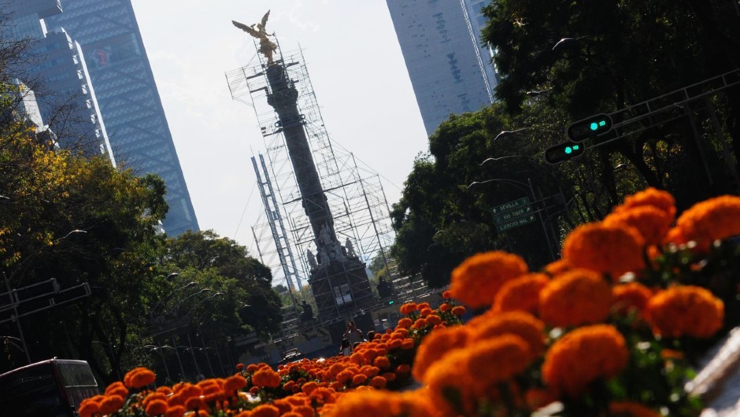 Las flores de cempasúchil adornan el Paseo de la Reforma