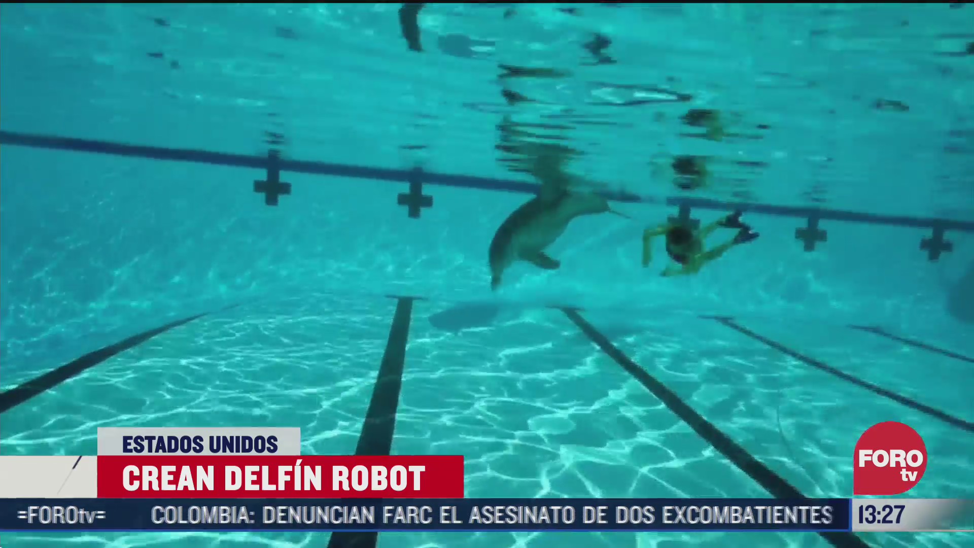 crean robot delfin para parques acuaticos