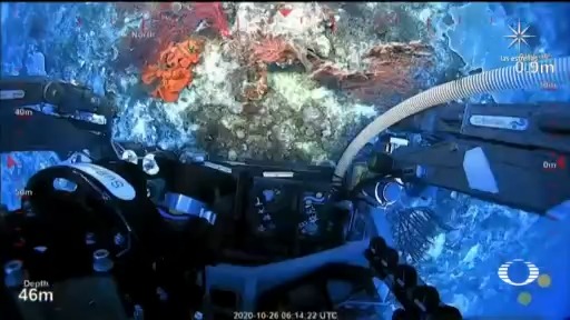 descubren arrecife de coral de 500 metros de altura en australia