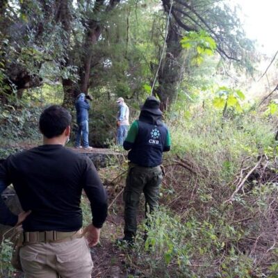 Hallan restos de 59 personas en fosas clandestinas en Guanajuato