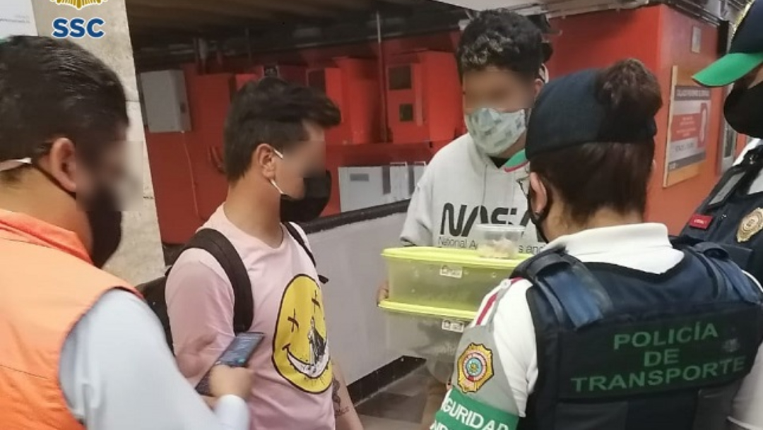 Detienen a jóvenes que transportaban cocodrilos en el metro