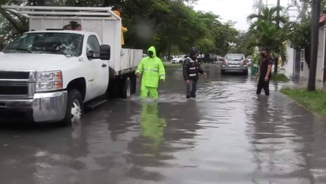 Árboles caídos e inundaciones fueron el saldo de la tormenta tropical "Gamma" a su paso por Quintana Roo