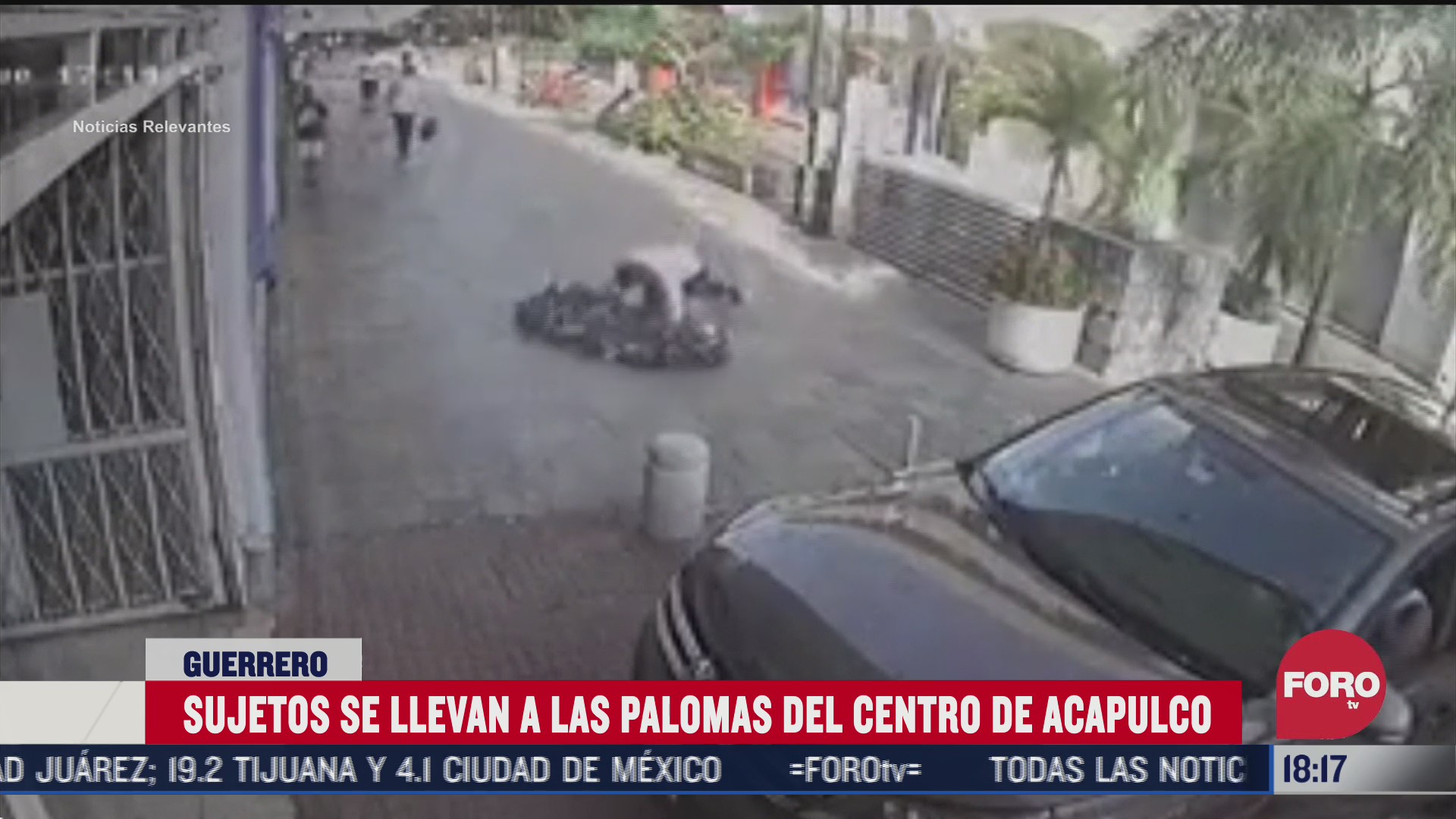 hombres roban palomas del centro de acapulco