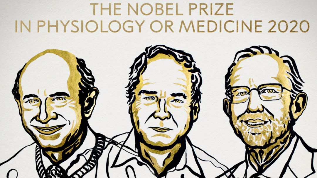 Nobel de Medicina a Harvey J. Alter, Michael Houghton y Charles M. Rice, descubridores del virus de la hepatitis C