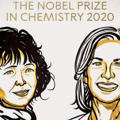 Premio Nobel de Química 2020 a dos científicas por reescribir el código de la vida