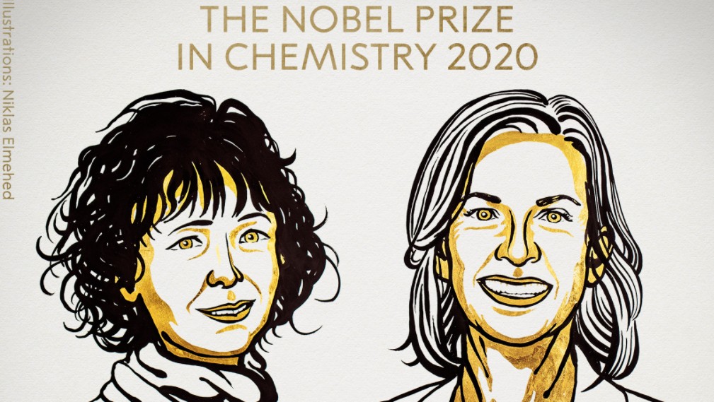 Premio Nobel de Química 2020 a dos científicas por reescribir el código de la vida