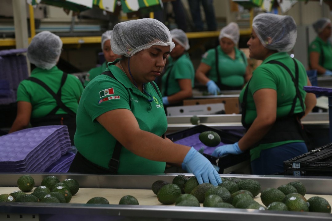 México-y-EEUU-renuevan-alianza-por-la-inocuidad-alimentaria