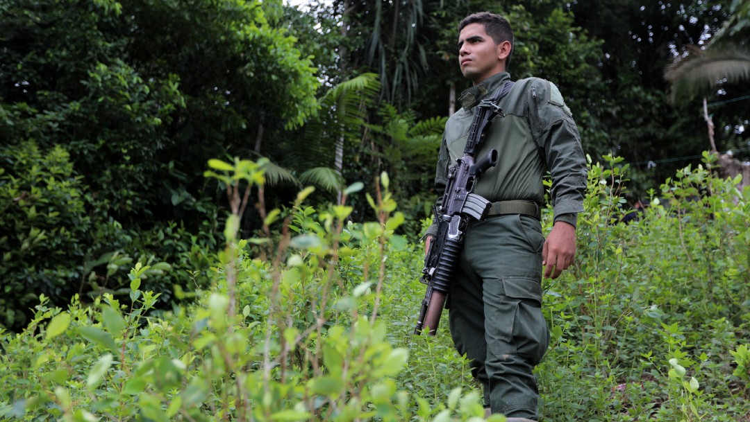 Soldado colombiano vigila plantío de coca