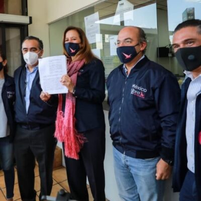 TEPJF niega registro a México Libre; sí se lo da a partido de Gordillo