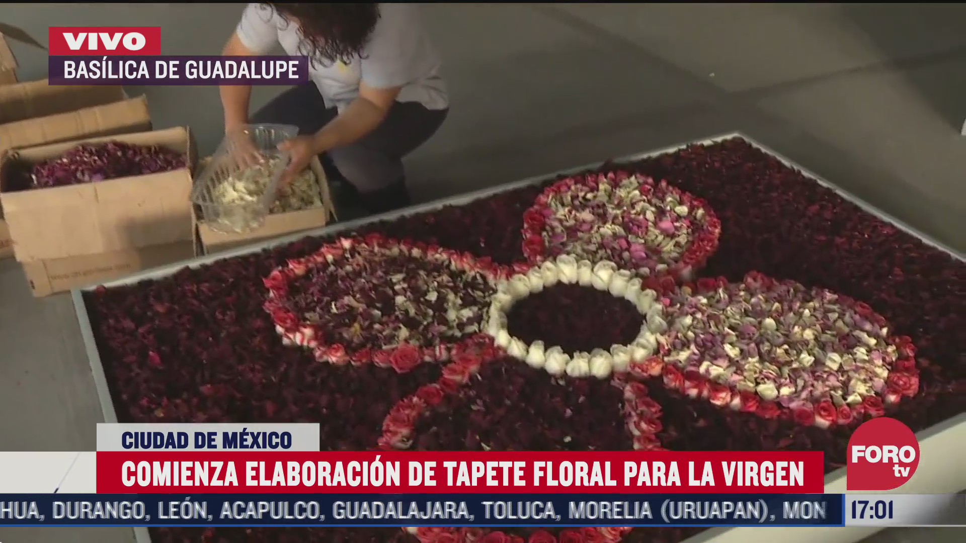 comienza elaboracion de tapete floral para celebrar a la virgen de guadalupe en la basilica