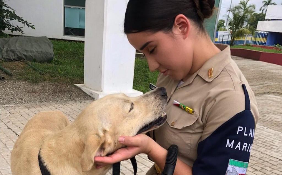 SEMAR adopta perrito rescatado inundaciones Tabasco