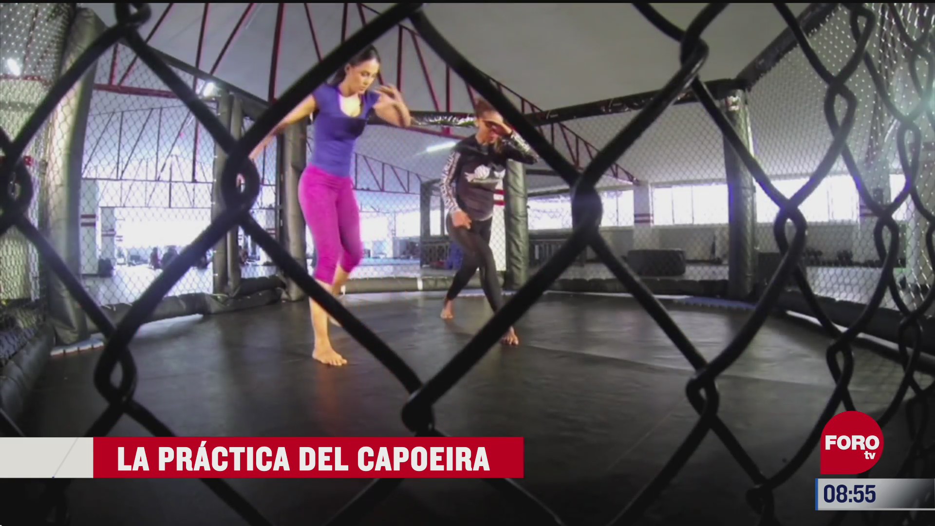 la practica del capoeira