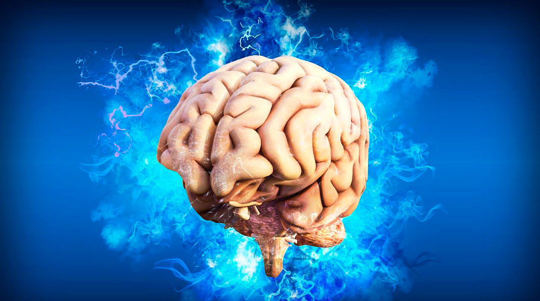 Cómo llega el covid al cerebro y cuáles serían sus consecuencias