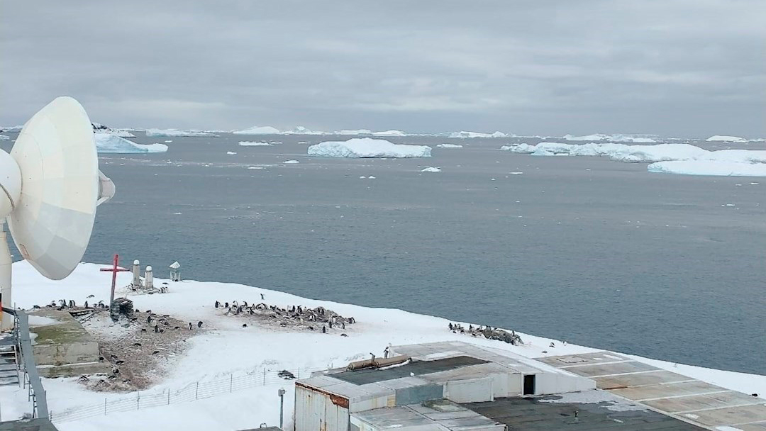 Primeros casos de covid en Antártida en base militar de Chile