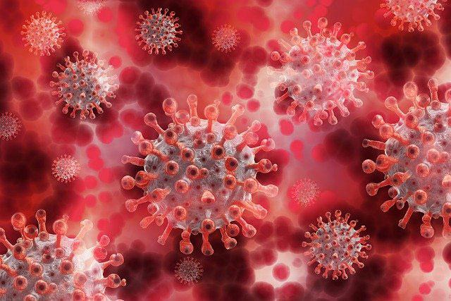 The Lancet publicó los resultados de una investigación que comprueba que la tasa de mortalidad del COVID-19 es el triple de la gripa estacional
