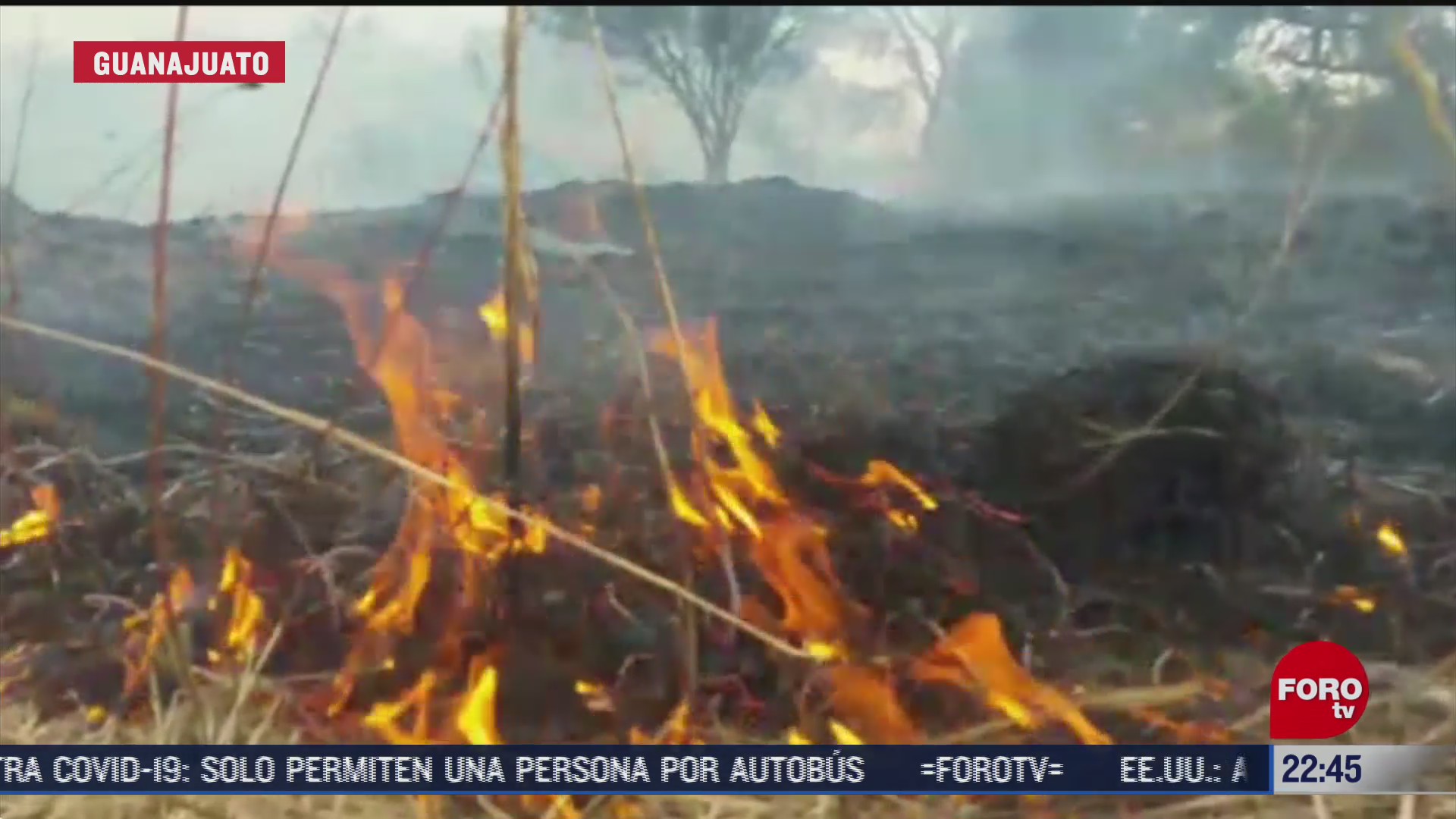 guanajuato registra primeros incendios de pastizales