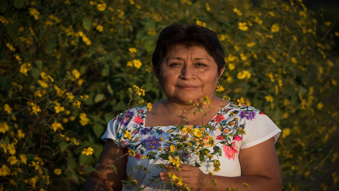 Leydy Pech, apicultora que logró preservar la abeja sagrada maya, gana Premio Goldman