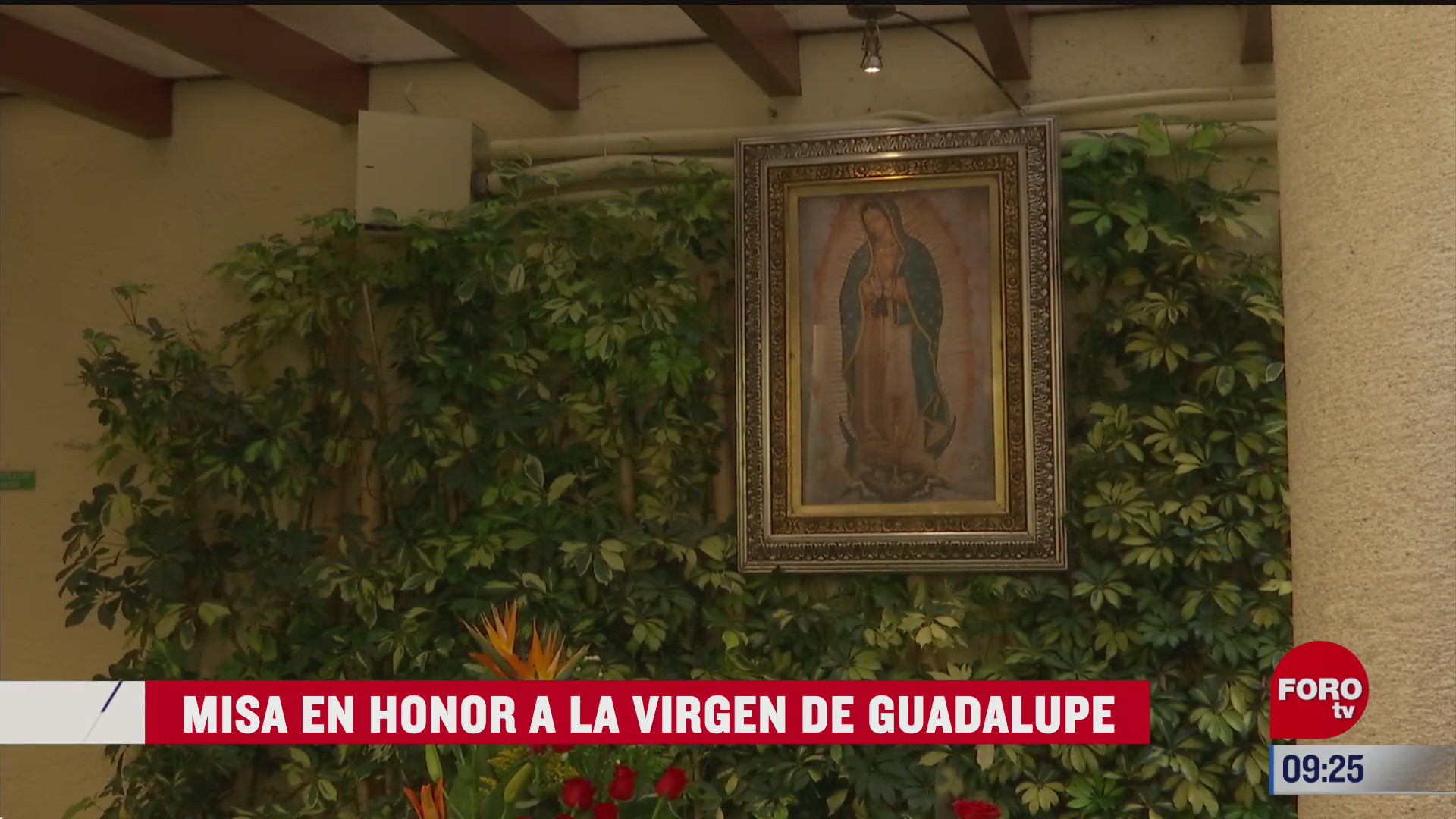 misa en honor a la virgen de guadalupe en forotv
