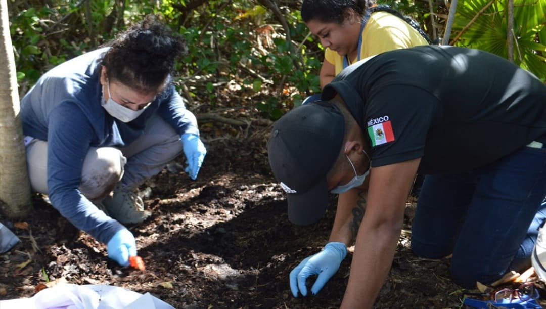 Misteriosa desaparición de 13 albañiles que pidieron trabajo en un hotel de Quintana Roo