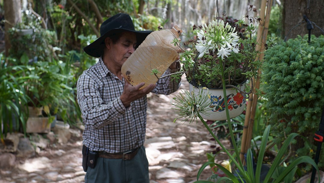 Julio Ángel Miguel Ramírez, maestro rural, riega las plantas de su bosque "El paraíso de los Arcos"