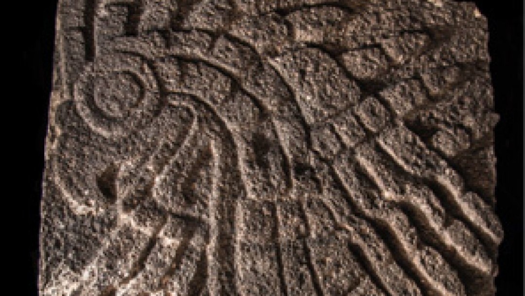 Bajorrelieve de águila real hallado en Templo Mayor data de hace más de 500 años